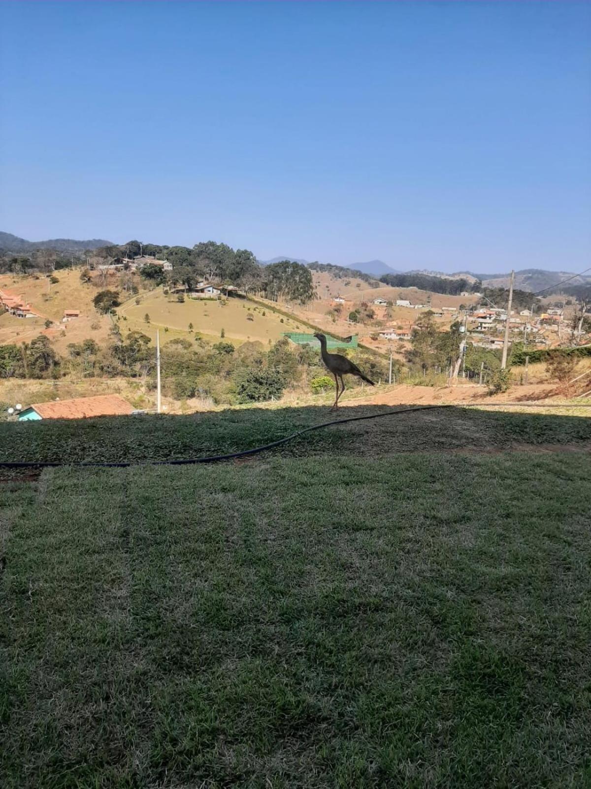 Recanto Alvorada - Casa De Campo Santo Antônio do Pinhal Eksteriør bilde